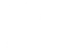 DraftKings Sportsbook Logo White